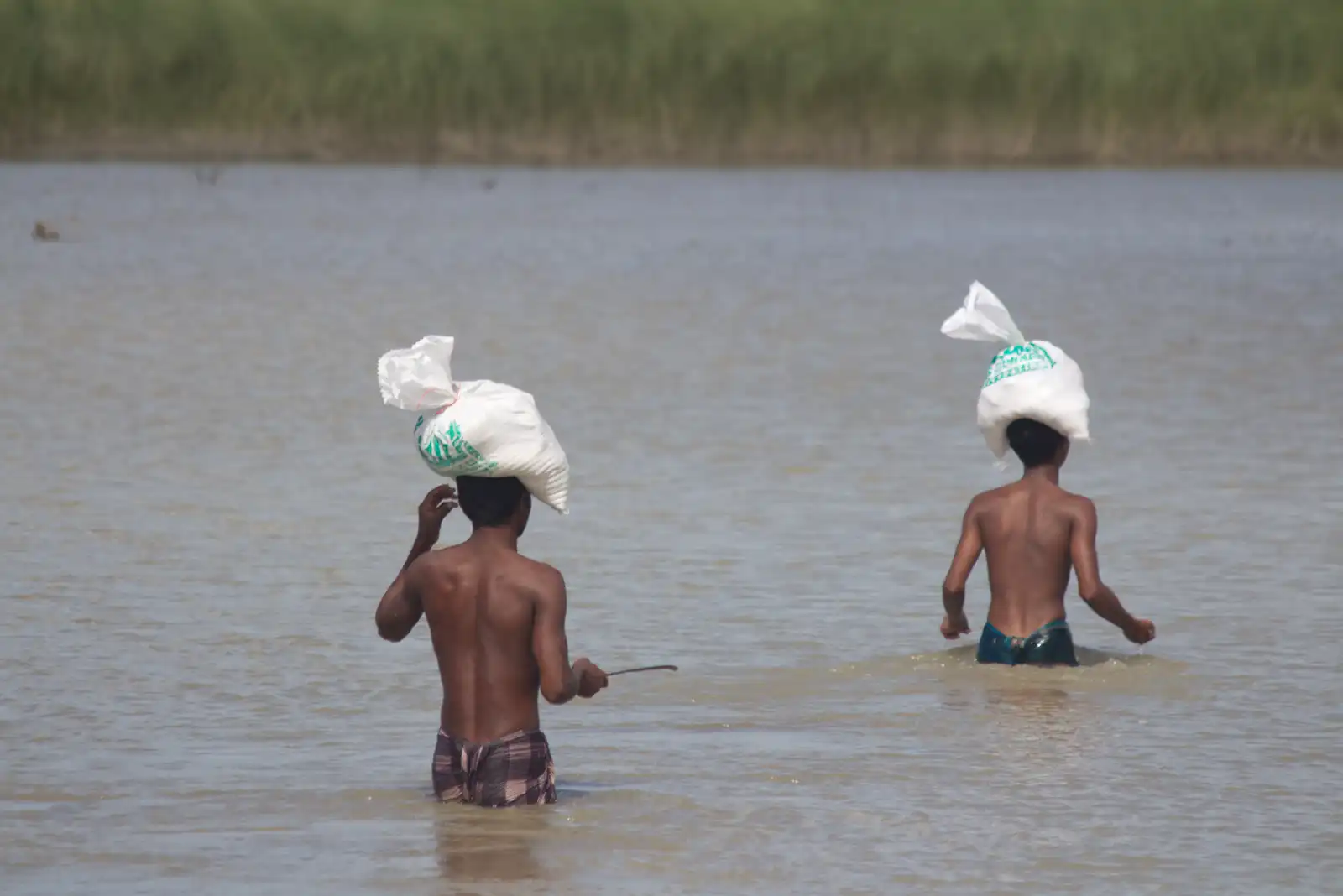 বায়তুল মামুর জামে মসজিদ